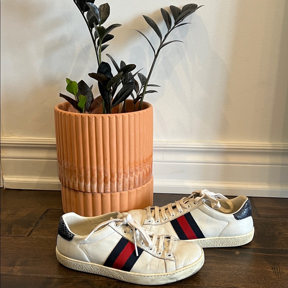Gucci Ace Sneakers